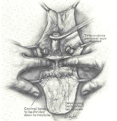 SRSFig7.jpg