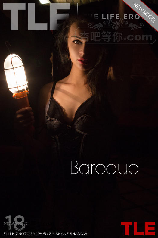 _TheLifeErotic-Baroque-cover.jpg