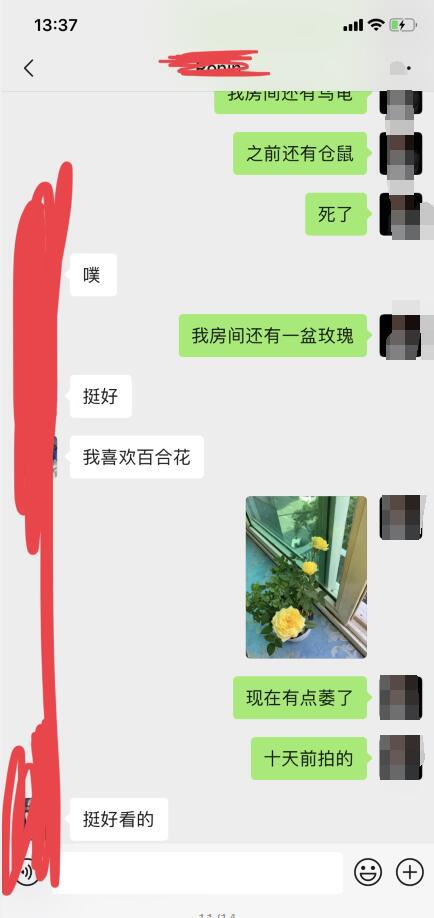 图片18.png