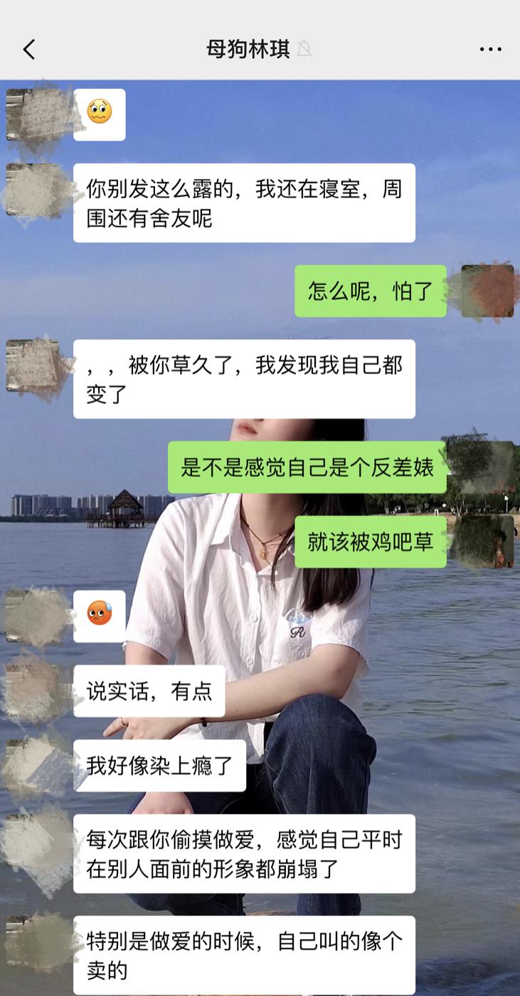 与林琪的聊天记录截图